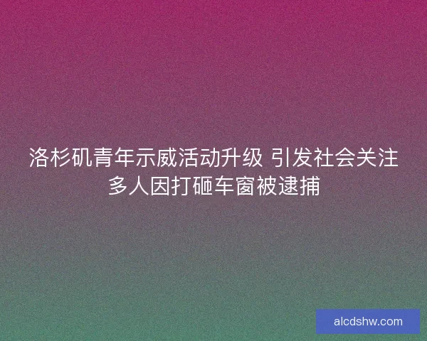 洛杉矶青年示威活动升级 引发社会关注多人因打砸车窗被逮捕