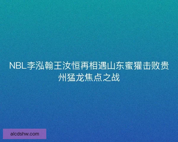 NBL李泓翰王汝恒再相遇山东蜜獾击败贵州猛龙焦点之战