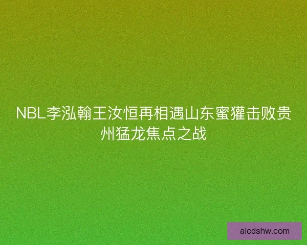 NBL李泓翰王汝恒再相遇山东蜜獾击败贵州猛龙焦点之战 NBL李泓翰王汝恒再相遇山东蜜獾击败贵州猛龙焦点之战